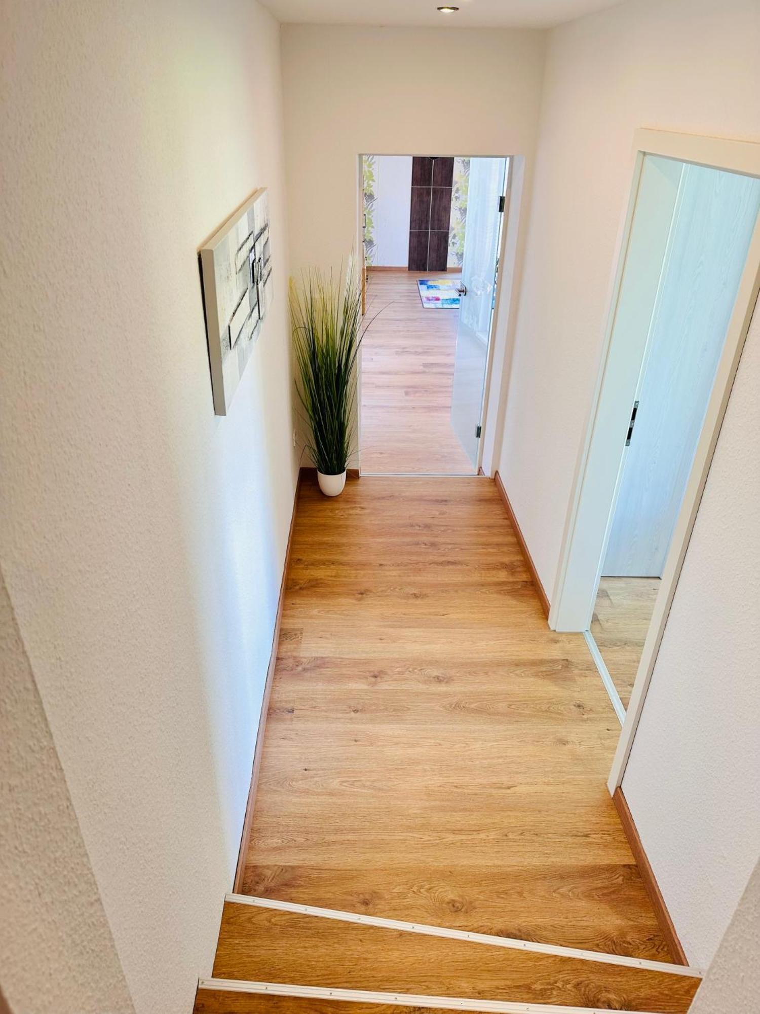 Bachlauf Mit Grosser Terrasse Von Harztraveler Apartment *